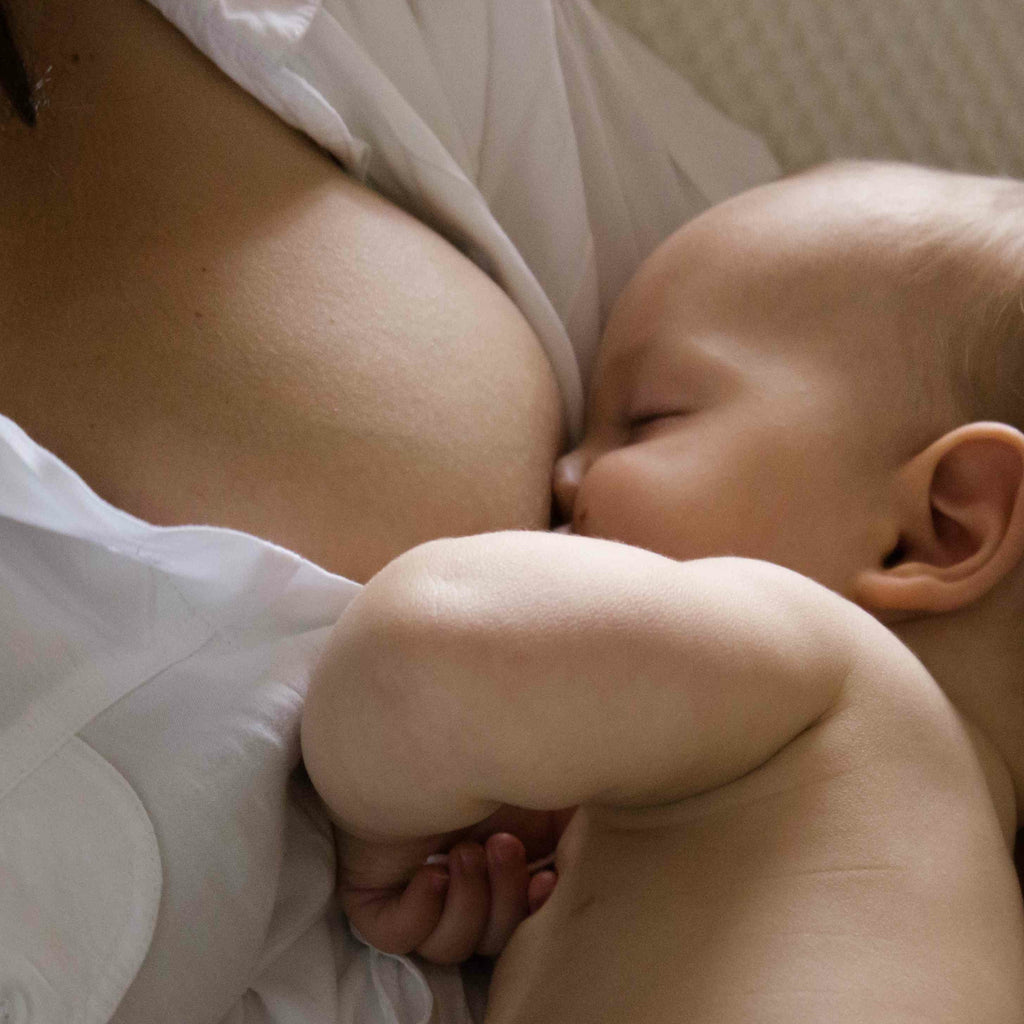 Fertility, Pregnancy and Breastfeeding